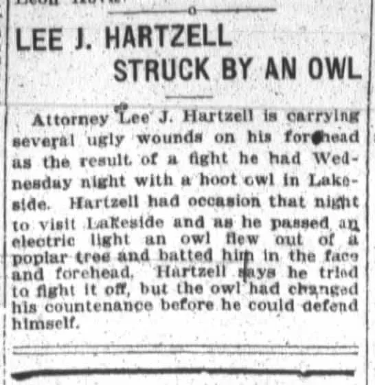 1913 newspaper clipping headlined "Lee J. Hartzell Struck by an Owl," describing an owl attacking Hartzell near an electric light at Lakeside.